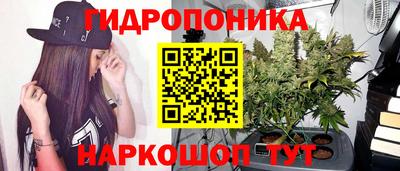 спайс Будённовск
