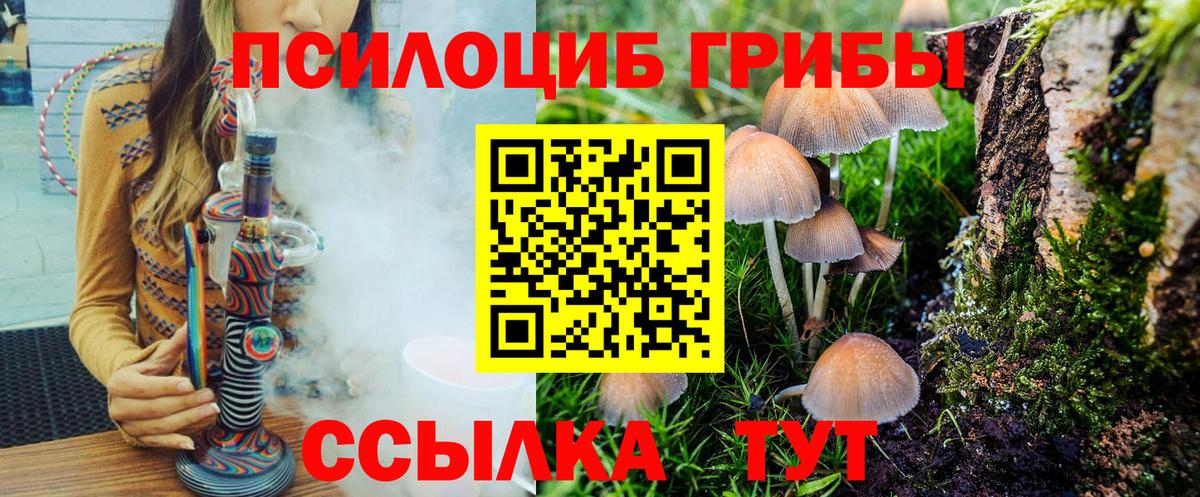 где найти   Вход с VPN  Новокубанск  Галлюциногенные грибы ЛСД  Псилоцибиновые грибы мухоморы 