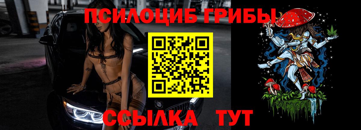 Псилоцибиновые грибы ЛСД Новокубанск